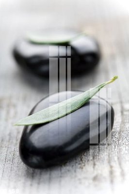 File tranh File gốc in tranh tổng hợp Q2458 (gốc) chủ đề thiên nhiên