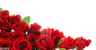 Mua file tranh gốc File gốc in tranh tổng hợp Q2485 tại Filetranh.com