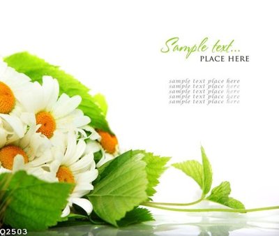 File PSD File gốc in tranh tổng hợp Q2503 (bản gốc) đã tách nền