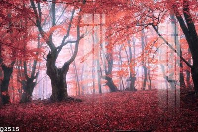 File in mica File gốc in tranh tổng hợp Q2515 (bản gốc) sắc sảo