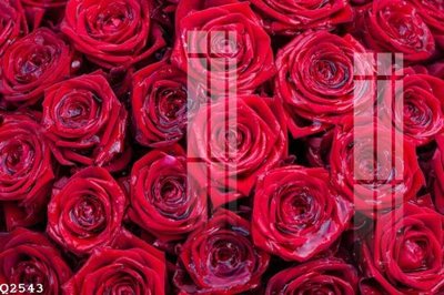 File gốc File gốc in tranh tổng hợp Q2543 (chuẩn màu) cho in offset