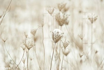 Tải file File gốc in tranh tổng hợp Q2558 (gốc) làm file quảng cáo