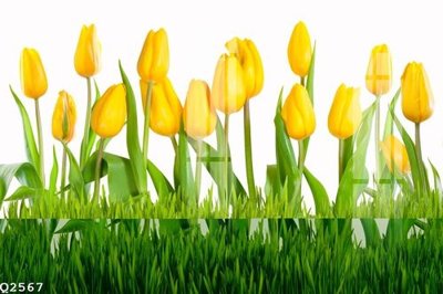 File tranh trang trí File gốc in tranh tổng hợp Q2567 (tải file gốc)