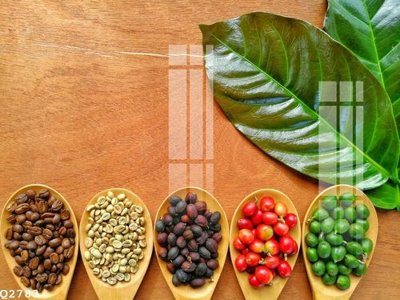 File gốc File gốc in tranh tổng hợp Q2783 (PNG) chất lượng cao