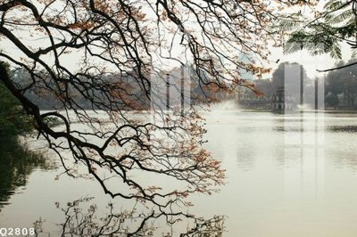 File tranh File gốc in tranh tổng hợp Q2808 (gốc) chủ đề tĩnh vật