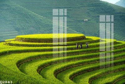 Tải file File gốc in tranh tổng hợp Q2843 (gốc) chủ đề tâm linh