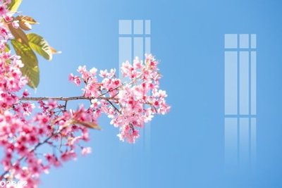 File gốc in tráng gương File gốc in tranh tổng hợp Q2862 chi tiết