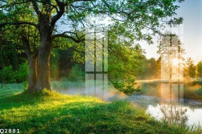 File in ấn File gốc in tranh tổng hợp Q2881 (bản gốc) từ file gốc