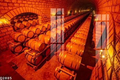 File tranh File gốc in tranh tổng hợp Q2885 (bản gốc) in lụa dán tường