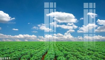 Tải file tranh gốc File gốc in tranh tổng hợp Q2987 chất lượng cao