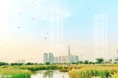 File tranh File gốc in tranh tổng hợp Q3076 (ảnh gốc) không bị mờ