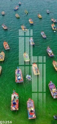 File gốc File gốc in tranh tổng hợp Q3256 (cho in UV) siêu nét