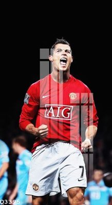 Ảnh gốc File gốc in tranh tổng hợp Q3395 (độ nét cao) in tráng gương