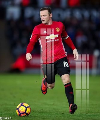 Ảnh gốc File gốc in tranh tổng hợp Q3421 (độ nét cao) in tráng gương