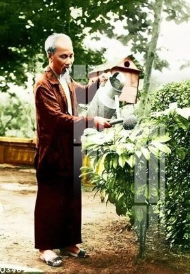 File in lụa File gốc in tranh tổng hợp Q3461 (hoa văn) File gốc in tranh tổng hợp Q3461