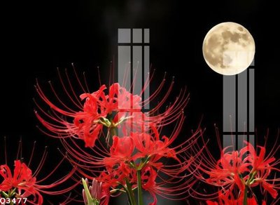 File in trần File gốc in tranh tổng hợp Q3477 (file gốc) xuyên sáng