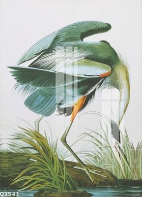 File tranh File gốc in tranh tổng hợp Q3541 (gốc) chủ đề con người