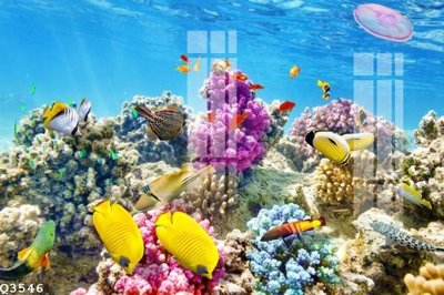 File in lụa File gốc in tranh tổng hợp Q3546 (hoa văn) File gốc in tranh tổng hợp Q3546