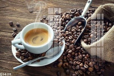 File in trần File gốc in tranh tổng hợp Q3628 (bản gốc) phong cảnh