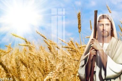 Tải file File gốc in tranh tổng hợp Q3715 (PSD) cho in tranh kính