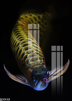 Tải file File gốc in tranh tổng hợp Q3939 (gốc) làm file tranh quảng cáo