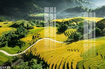 Tải file gốc File gốc in tranh tổng hợp Q3978 (bản PSD) còn layer