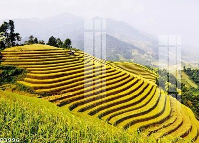 File gốc File gốc in tranh tổng hợp Q3996 (in tráng gương) sang trọng