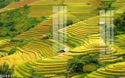 Tải file File gốc in tranh tổng hợp Q3997 (ảnh gốc) độ phân giải 300dpi