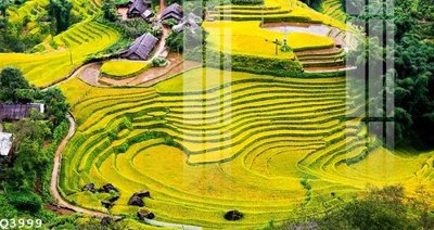 File tranh File gốc in tranh tổng hợp Q3999 (gốc) chủ đề trẻ em