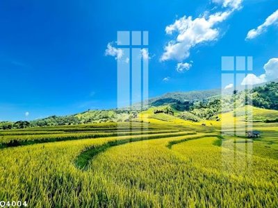 Download file gốc File gốc in tranh tổng hợp Q4004 (in lụa) tranh 3D