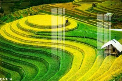 File tranh File gốc in tranh tổng hợp Q4304 (bản gốc) in lụa 3D