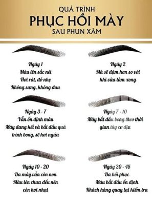 File in ấn cao cấp File gốc in tranh tổng hợp Q4366 (file gốc)