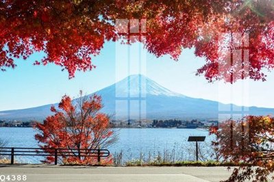 File in trần File gốc in tranh tổng hợp Q4388 (bản gốc 3D) sống động