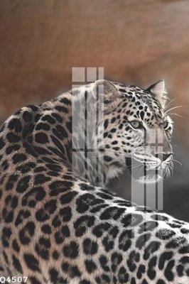 Download file gốc File gốc in tranh tổng hợp Q4507 (in mica) trang trí