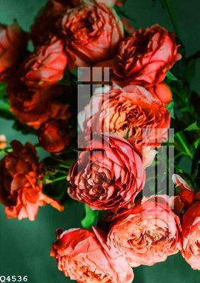 Tệp tin gốc File gốc in tranh tổng hợp Q4536 (chất lượng) File gốc in tranh tổng hợp Q4536