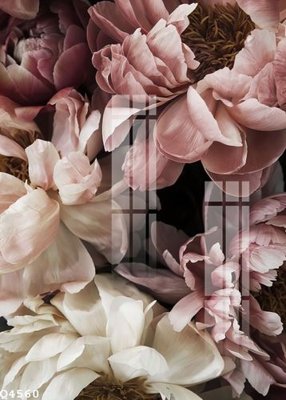 File in trần File gốc in tranh tổng hợp Q4560 (bản gốc) bầu trời