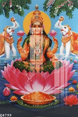 File in trần File gốc in tranh tổng hợp Q4799 (bản gốc) đại dương