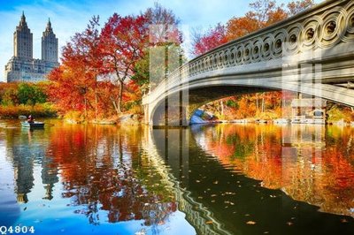 Tệp tin gốc File gốc in tranh tổng hợp Q4804 (chất lượng cao) File gốc in tranh tổng hợp Q4804