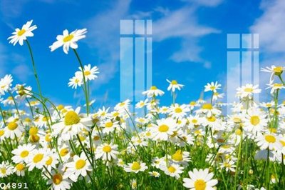 File tranh ảnh gốc File gốc in tranh tổng hợp Q4891 dùng cho in khổ lớn