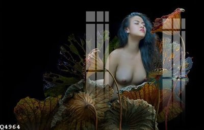 Tải file gốc File gốc in tranh tổng hợp Q4964 (in khổ lớn) không vỡ