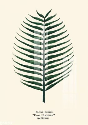 File in mica File gốc in tranh tổng hợp Q5092 (ảnh gốc) đẹp