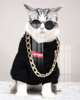 File in mica File gốc in tranh tổng hợp Q5137 (bản gốc) siêu trong