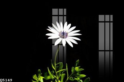 File in ấn File gốc in tranh tổng hợp Q5149 (bản gốc) cao cấp