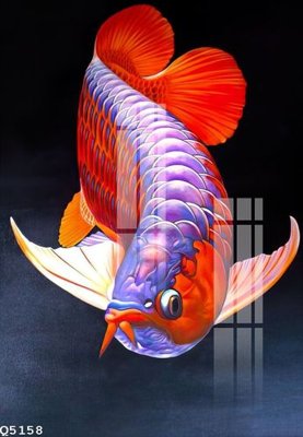 File tranh ảnh gốc File gốc in tranh tổng hợp Q5158 dùng cho in khổ lớn