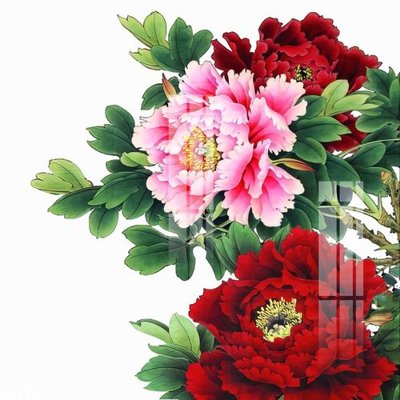 File in trần File gốc in tranh tổng hợp Q5173 (bản gốc) trời sao