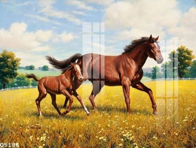 Download file File gốc in tranh tổng hợp Q5186 (chuẩn in) chất lượng cao