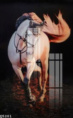 Tải file File gốc in tranh tổng hợp Q5201 (ảnh gốc) in tranh kính