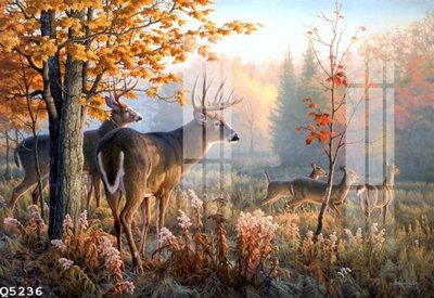 File ảnh File gốc in tranh tổng hợp Q5236 (gốc) dùng in Pano