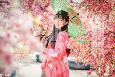 Ảnh gốc File gốc in tranh tổng hợp Q5248 (nét căng) in mica