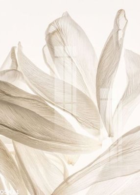 Tải file tranh gốc File gốc in tranh tổng hợp Q5411 chất lượng cao